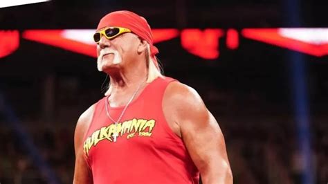 hulk hogan net worth 2022|More.